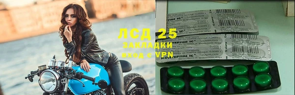 Альфа ПВП Верея