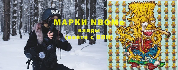 индика Горно-Алтайск