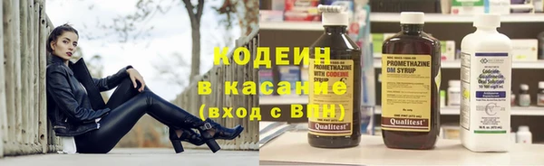шишки Верхний Тагил