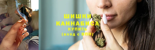 сатива Шарыпово