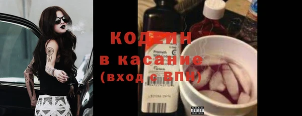 амф Вяземский