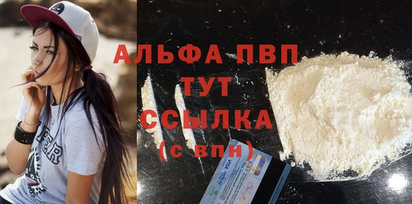 Альфа ПВП Верея